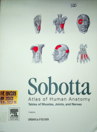 Sobotta Atlas of Human Anatomy; Tables of Muscles, Joints, and Nerves