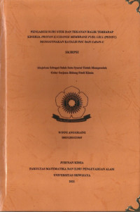 PENGARUH SUHU STEK DAN TEKANAN BALIK TERHADAP KINERJA PROTON EXCHANGE MEMBRANE FUEL CELL (PEMFC) MENGGUNAKAN KATALIS PT/C DAN COFE/N-C