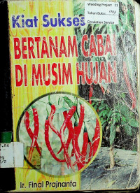 Kiat sukses BERTANAM CABAI DI MUSIM HUJAN