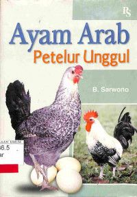 Ayam Arab Petelur Unggul