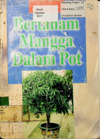 Bertanam Mangga Dalam Pot