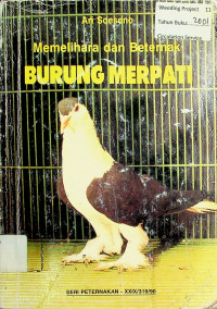 Memelihara & Beternak BURUNG MERPATI