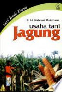 Usaha Tani Jagung