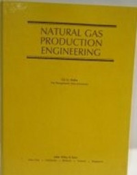 NATURAL GAS PRODUCTION ENGINEERING