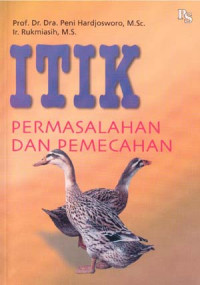 ITIK : PERMASALAHAN DAN PEMECAHAN