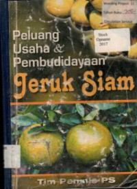 Peluang Usaha & Pembudidayaan Jeruk Siam