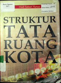 STRUKTUR TATA RUANG KOTA