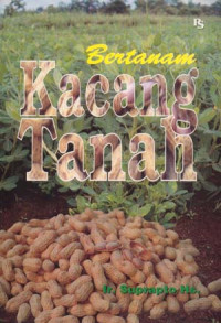 Bertanam Kacang Tanah