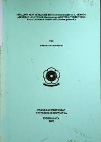 PENGARUH MINYAK SELASIH HIJAU (Ocimum tenuiflorum L.) SEBAGAI ATRAKTAN LALAT BUAH (Bactrocera spp.) (DIPTERA: TEPHRITIDAE) PADA TANAMAN JAMBU BIJI (Psidium guajava L.)