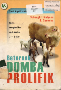 Beternak DOMBA PROLIFIK