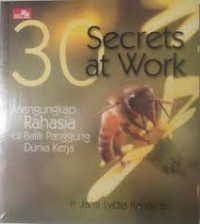 30 Secrets at Work : Mengungkap Rahasia di Balik Panggung Dunia Kerja