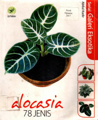 Serial Galeri Eksotika: alocasia 78 JENIS