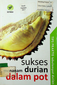 sukses menanam durian dalam pot: TIPS PRAKTIS tabulampot durian