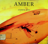 AMBER