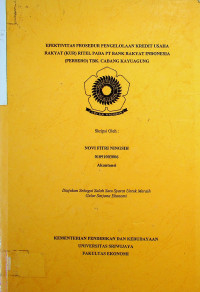 EFEKTIVITAS PROSEDUR PENGELOLAAN KREDIT USAHA RAKYAT (KUR) RITEL PADA PT. BANK RAKYAT INDONESIA (PERSERO) TBK. CABANG KAYUAGUNG