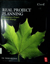 REAL PROJECT PLANNING : Developing a Project Delivery Strategy