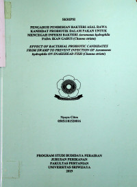 PENGARUH PEMBERIAN BAKTERI ASAL RAWA KANDIDAT PROBIOTIK DALAM PAKAN UNTUK MENCEGAH INFEKSI BAKTERI AEROMONAS HYDROPHILA PADA IKAN GABUS (CHANNA STRIATA)