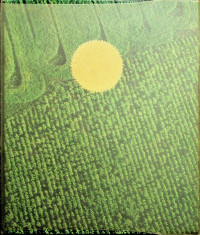 Plant Science, AN INTRODUCTION TO WORLD CROPS, THIRD EDITION