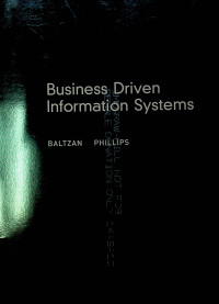 Business Driven Information Systems