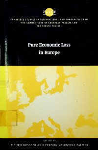 Pure Economic Loss in Europe