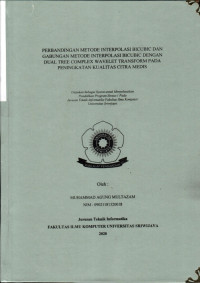 PERBANDINGAN METODE INTERPOLASI BICUBIC DAN GABUNGAN METODE INTERPOLASI BICUBIC DENGAN DUAL TREE COMPLEX WAVELET TRANSFORM PADA PENINGKATAN KUALITAS CITRA MEDIS