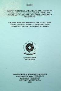 RESPON PERTUMBUHAN DAN HASIL TANAMAN KUBIS BUNGA (Brassica oleracea var. Botrytis L.) TERHADAP PENUNDAAN WAKTU PINDAH TANAM DAN CEKAMAN KEKERINGAN