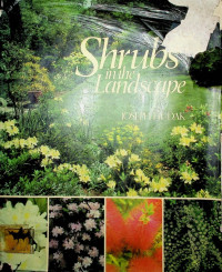 Shrubs in the Landscape