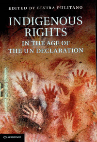 INDIGENOUS RIGHTS IN THE AGE OF THE UN DECLARATION