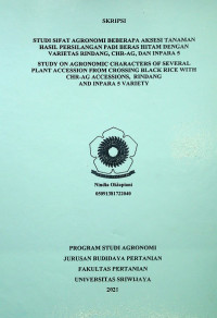 STUDI SIFAT AGRONOMI BEBERAPA AKSESI TANAMAN HASIL PERSILANGAN PADI BERAS HITAM DENGAN VARIETAS RINDANG, CHR-AG, DAN INPARA 5
