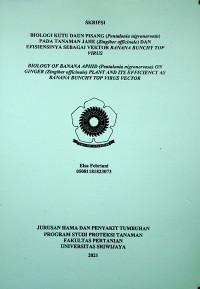 BIOLOGI KUTU DAUN PISANG (Pentalonia nigronervosa) PADA TANAMAN JAHE (Zingiber officinale) DAN EFISIENSINYA SEBAGAI VEKTOR BANANA BUNCHY TOP VIRUS