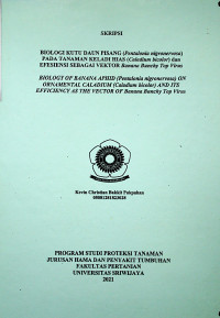 BIOLOGI KUTU DAUN PISANG (PENTALONIA NIGRONERVOSA) PADA TANAMAN KELADI HIAS (CALADIUM BICOLOR) DAN EFESIENSI SEBAGAI VEKTOR BANANA BUNCHY TOP VIRUS