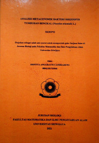 ANALISIS METAGENOMIK BAKTERI RHIZOSFER TUMBUHAN BENGKAL (Nauclea orientalis L.)