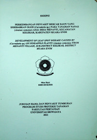 PERKEMBANGAN PENYAKIT BERCAK DAUN YANG DISEBABKAN OLEH (Curvularia sp.) PADA TANAMAN NANAS (Ananas comosus) ASAL DESA MENANTI, KECAMATAN KELEKAR, KABUPATEN MUARA ENIM