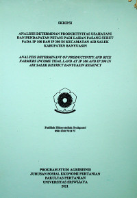 ANALISIS DETERMINAN PRODUKTIVITAS USAHATANI DAN PENDAPATAN PETANI PADI LAHAN PASANG SURUT PADA IP 100 DAN IP 200 DI KECAMATAN AIR SALEK KABUPATEN BANYUASIN