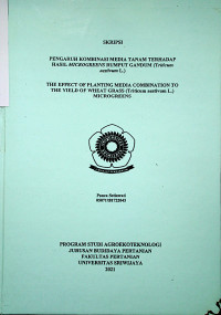 PENGARUH KOMBINASI MEDIA TANAM TERHADAP HASIL MICROGREENS RUMPUT GANDUM (TRITICUM AESTIVUM L.)