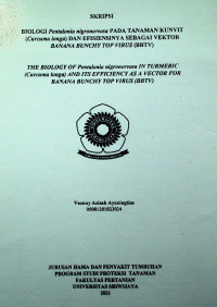 BIOLOGI Pentalonia nigronervosa PADA TANAMAN KUNYIT (Curcuma longa) DAN EFISIENSINYA SEBAGAI VEKTOR BANANA BUNCHY TOP VIRUS (BBTV)