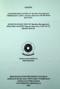 UJI EFEKTIFITAS ISOLAT Bacillus thuringiensis TERHADAP LARVA Oryctes rhinoceros DI RUMAH BAYANG