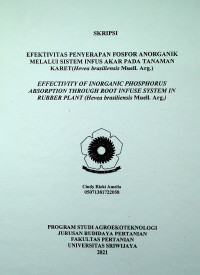 EFEKTIVITAS PENYERAPAN FOSFOR ANORGANIK MELALUI SISTEM INFUS AKAR PADA TANAMAN KARET( Hevea brasiliensis Muell. Arg.)