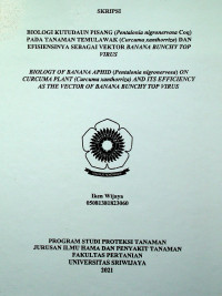 BIOLOGI KUTUDAUN PISANG (Pentalonia nigronervosaCoq) PADA TANAMAN TEMULAWAK (Curcuma xanthorriza) DANEFISIENSINYA SEBAGAI VEKTOR BANANA BUNCHYTOPVIRUS