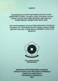 PERKEMBANGAN PENYAKIT BERCAK DAUN YANG DISEBABKAN OLEH Curvularia. PADA TANAMAN NANAS (Ananas comosus) ASAL DESA BETUNG, KECAMATAN LUBUK KELIAT, KABUPATEN OGAN ILIR. 