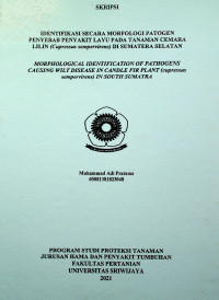 IDENTIFIKASI SECARA MORFOLOGI PATOGEN PENYEBAB PENYAKIT LAYU PADA TANAMAN CEMARA LILIN (Cupressus sempervirens) DI SUMATERA SELATAN
