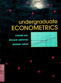 undergraduate ECONOMETRICS