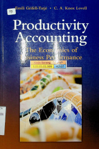 Productivity Accounting : The Economics of business Performance