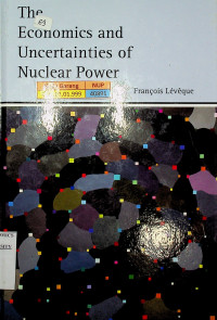 The Economics and Uncertainties of Nuclear Power