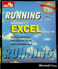 RUNNING MICROSOFT EXCEL for Windows 95