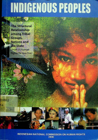 The Structural Relationship among Tribal Groups, Nations and the State