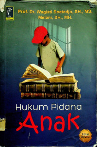 Hukum Pidana Anak, Edisi Revisi