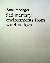 Sedimentary environments from wireline logs