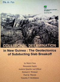 COLLISIONAL DELAMINATION in New Guinea: The Geotectonis of Subducting Slab Breakoff