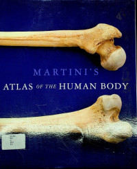 MARTINI' S ATLAS OF THE HUMAN BODY